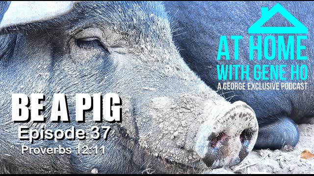 Be A Pig | At Home with Gene Ho, Episode 37