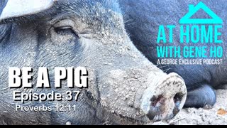 Be A Pig | At Home with Gene Ho, Episode 37