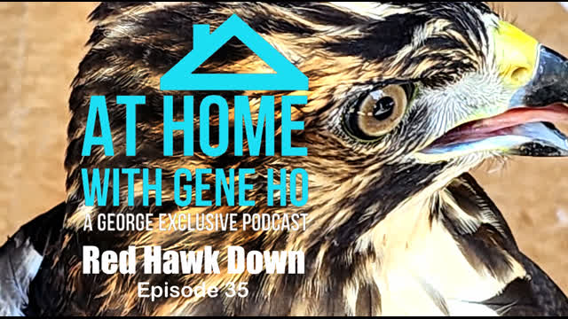 Red Hawk Down | At Home with Gene Ho, Episode 35