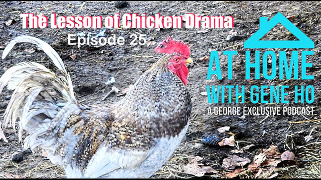 The Lesson of Chicken Drama | At Home with Gene Ho, Ep. 25