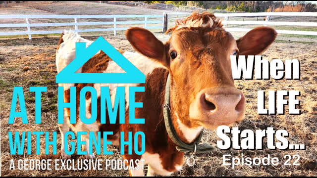 When Life Starts-The Struggle is Real | At Home with Gene Ho, Episode 22
