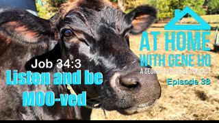 Listen and be MOO-ved I At Home with Gene Ho, Episode 38