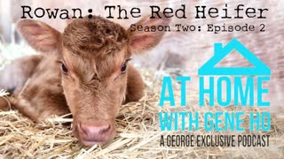 Rowan: The Red Heifer I At Home with Gene Ho, Season 2 - Ep. 2