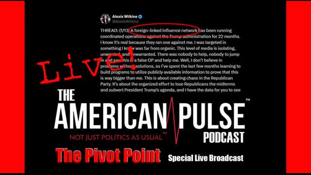 Special Broadcast: The Viral Alexis Wilkins Post! I American Pulse Podcast - Episode 113