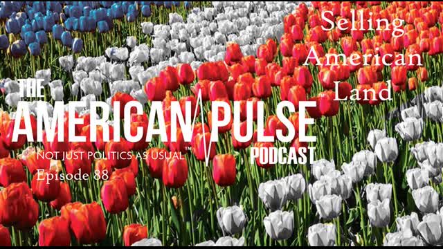 BIG REVEAL: GAME THEORY and Selling American Land | American Pulse Podcast - Episode 88