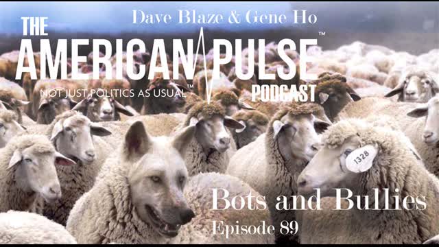 Of Bots and Bullies | The American Pulse Podcast - Episode 89